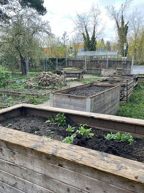 Blick über die vielen Hochbeete im HerzoGarten