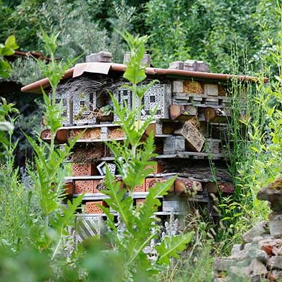 Auf dem Bild ist ein Insektenhotel zu sehen